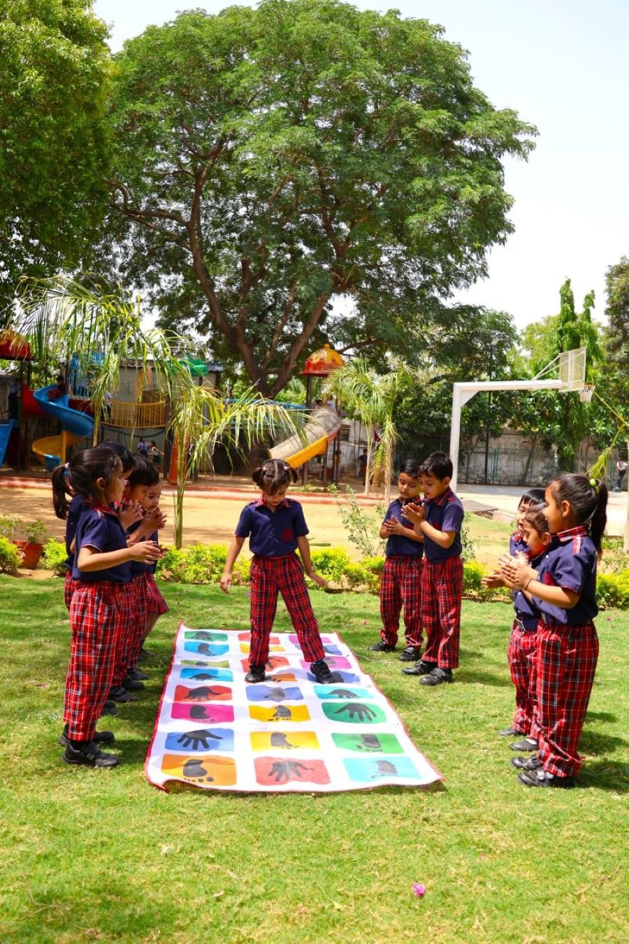 Class Activities